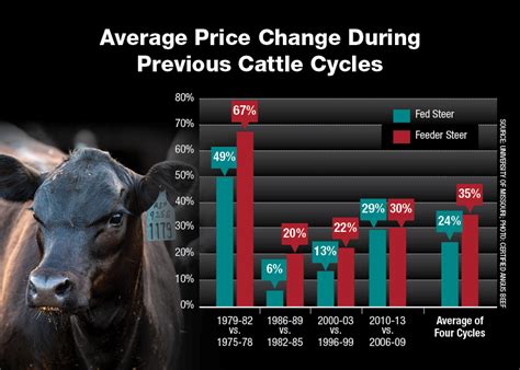 Equity Livestock Feeder Cattle Prices